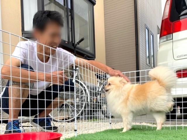 【サービス管理責任者】動物好きな方大歓迎！ペットと暮らす障がい者グループホーム/正社員/資格必須/月給35万円～/賞与あり/ブランク可◎の写真9枚目