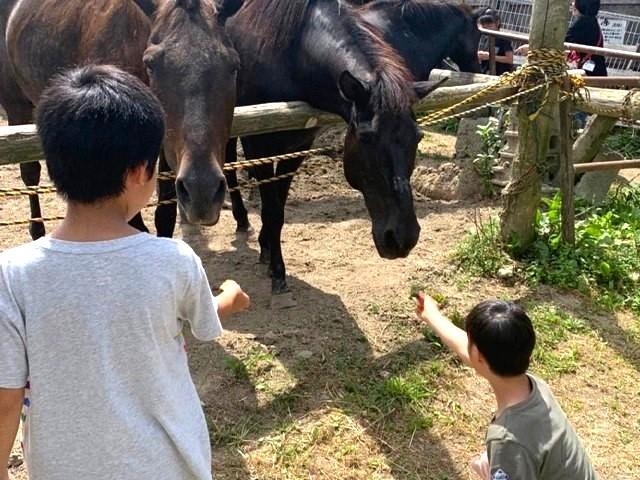 【保育士】多機能型施設/正社員/資格必須/月給18万円～/残業ほぼなし/研修充実◎キャリアアップを目指せます！/「社会性・生活・身体・学習」の4つのテーマで自立を支援♪の写真8枚目