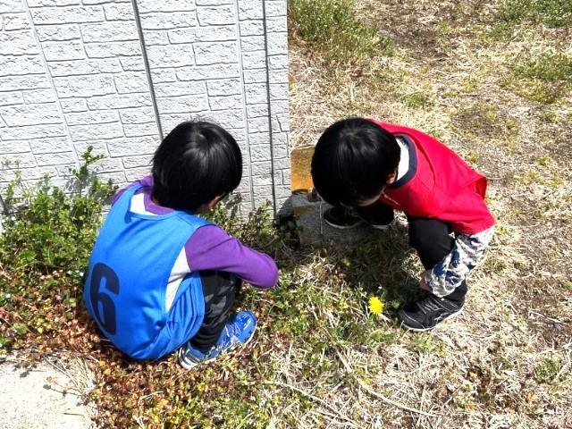 【作業療法士】放課後等デイサービス/正社員/資格必須/⽉給24.8万円〜/週休2日制/サッカーで楽しく療育/サッカー未経験者も歓迎♪熱意と人柄重視です◎の写真5枚目