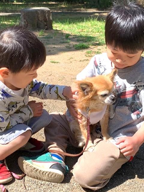 【保育士】多機能型施設/正社員/資格必須/月給20万円～/年休118日/日祝休み/残業ほぼなし/ブランク可/子どもたちの能力を最大限に引き出し、好きや得意を見つけるお手伝い♪の写真2枚目