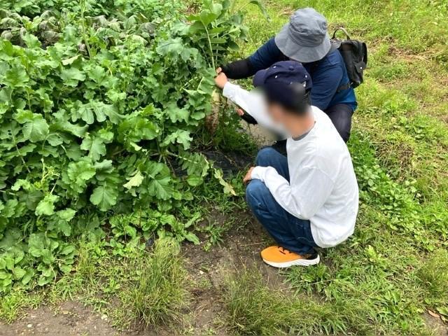 【エリアマネージャー/エリアマネージャー候補】生活介護施設/5連休年4回取得可/月給50万円～/研修＆OJT充実/「専門スキル＋α」をもつ支援のプロへ♪/正社員/資格必須の写真8枚目