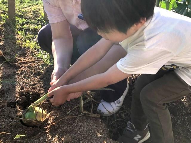 【児童指導員】多機能型施設/完全週休2日制/送迎なし/産休・育休取得実績＆託児施設あり/優しさと思いやりで子どもたちの成長をサポートする法人♪/月給20.7万円～/正社員/資格必須の写真6枚目