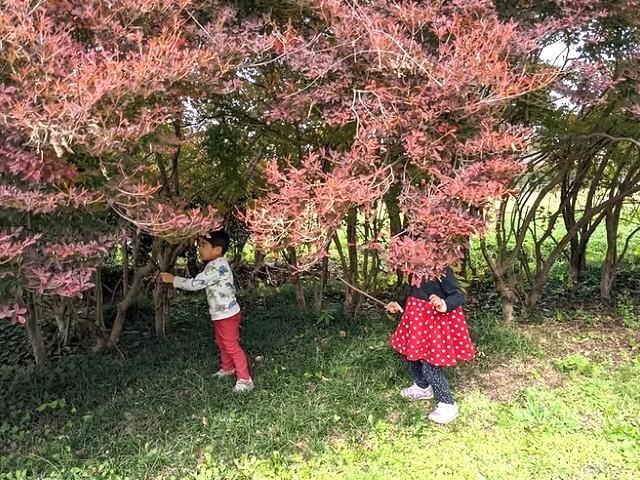 【作業療法士】多機能型施設/年間休日125日/日祝休み◎/生きる力を育てる療育！SSTと実体験学習で、子どもたちの将来に向けた支援を実施♪/月給25万円～/正社員/資格必須の写真9枚目