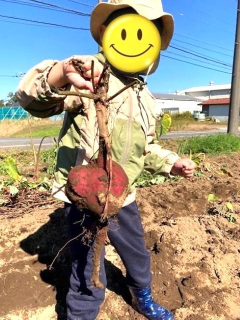【言語聴覚士】多機能型施設/完全週休2日制/駅チカ◎/資格取得支援＆キャリアアップ制度あり/のびのびと自分らしく、笑顔で過ごしていける療育を♪/月給22万円～/正社員/資格必須の写真4枚目