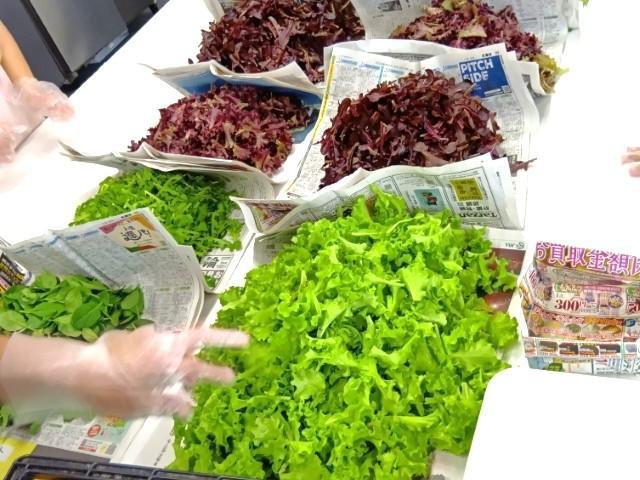 【サービス管理責任者】就労支援施設/年休115日/土日祝休み/月1万円から社宅に住める！/自社農園での農作業を通して障がい者の就労を支援♪/月給25万円～/正社員/資格必須の写真2枚目