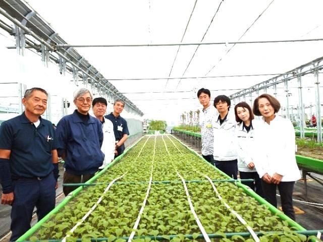 【サービス管理責任者】就労支援施設/年休115日/土日祝休み/月1万円から社宅に住める！/自社農園での農作業を通して障がい者の就労を支援♪/月給25万円～/正社員/資格必須の写真5枚目