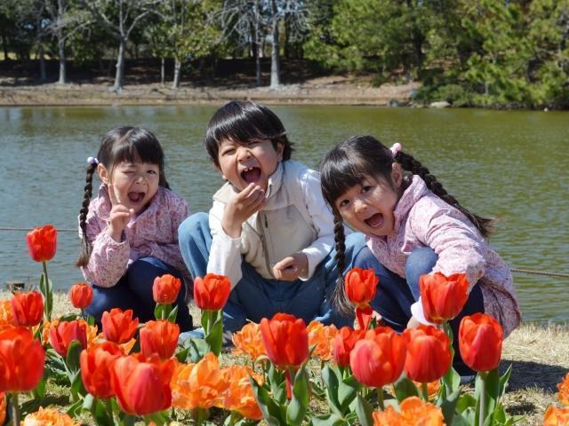 【児童指導員】児童発達支援/1日5時間、週5日程度勤務/送迎なし◎/通常よりも長い1日4時間の療育で、子どもの可能性を引き出す♪/時給1,200円～/パート・アルバイト/資格必須の写真3枚目