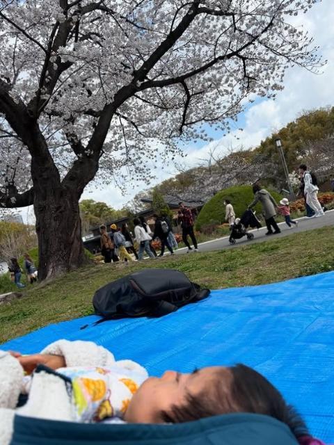 【保育士】重症心身障害児施設/年間休日111日◎/育休取得実績あり/月給25万円/医療ケア＆リハビリ訓練で、子どもが安心・安全に過ごせる居場所づくり♪/正社員/資格必須の写真2枚目