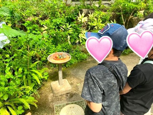 【保育士】多機能型施設/残業ほぼなし◎/全国規模の大手/充実の研修で豊富なノウハウが学べる♪/月給23万円～/正社員/資格必須の写真9枚目