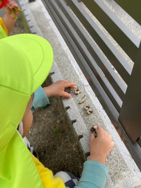 【作業療法士】多機能型施設/週休2日制/土日休み◎/育休取得実績あり/リハビリを軸とした支援を展開！/個別性の高いオーダーメイド療育/月給21.6万円～/正社員/資格必須の写真4枚目