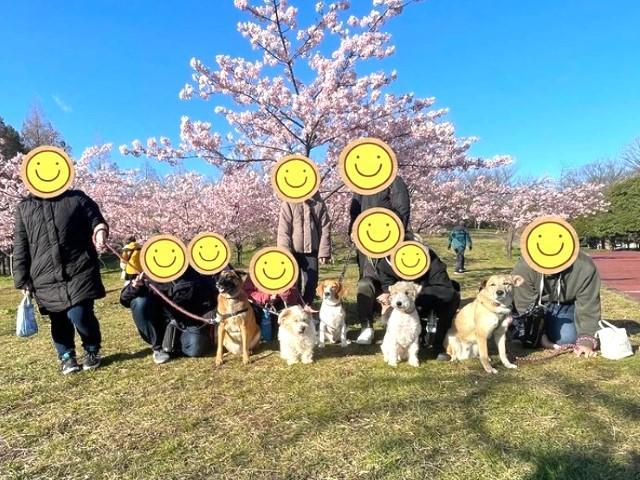 【サービス管理責任者】共同生活援助/「選べる年間休日数・時短勤務OK・残業ほぼなし」/月給33万円～・月給35万円～/ペット利用可の障がい者向けグループホーム♪/正社員/資格必須の写真6枚目