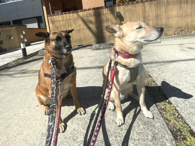 【サービス管理責任者】共同生活援助/「選べる年間休日数・時短勤務OK・残業ほぼなし」/月給33万円～・月給35万円～/ペット利用可の障がい者向けグループホーム♪/正社員/資格必須の写真7枚目