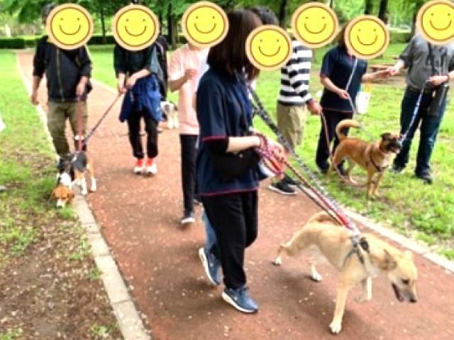 【サービス管理責任者】共同生活援助/「選べる年間休日数・時短勤務OK・残業ほぼなし」/月給33万円～・月給35万円～/ペット利用可の障がい者向けグループホーム♪/正社員/資格必須の写真8枚目