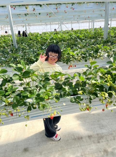 【作業療法士】多機能型施設/日曜休み＆残業ほぼなし◎/スタッフも学べる！専門職を中心に、質の高い支援を目指す施設/研修＆キャリアパス制度充実◎/月給24.6万円～/正社員/資格必須の写真9枚目