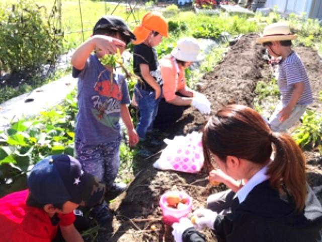 【保育士】多機能型施設/日祝休み/残業ほぼなし◎/楽しい、温かく質の高い療育を実践！アットホームな一軒家の施設♪/月給21万円～/正社員/資格必須