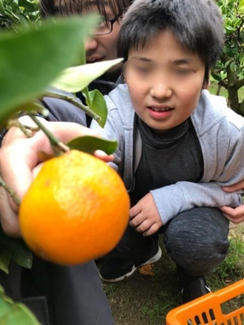 【保育士】放課後等デイサービス/年休110日◎/日曜休み/育休取得実績あり/子どもたちが夢を叶えるための通過点♪/エンジョイできる活動の場を提供/月給20万円～/正社員/資格必須の写真7枚目