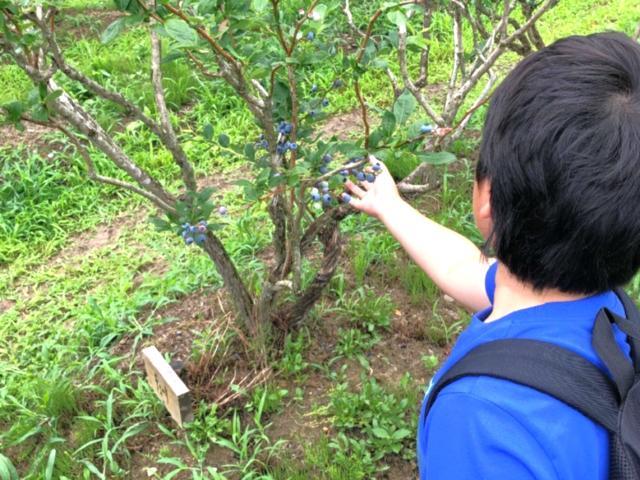 【児童指導員】多機能型施設/週休2日制/日祝休み/送迎なし/研修充実◎/全国展開中の大手FC！/「キッズファースト」を第一に見守る支援を♪/月給23万円～/正社員/資格必須の写真5枚目