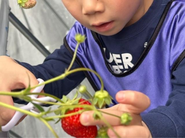 【保育士】多機能型施設/正社員/資格必須/月給24万円～/日曜休み/残業＆持ち帰り仕事なし◎/運動を中心に、多彩な感覚統合療法をおこなう預かり型の施設♪の写真4枚目