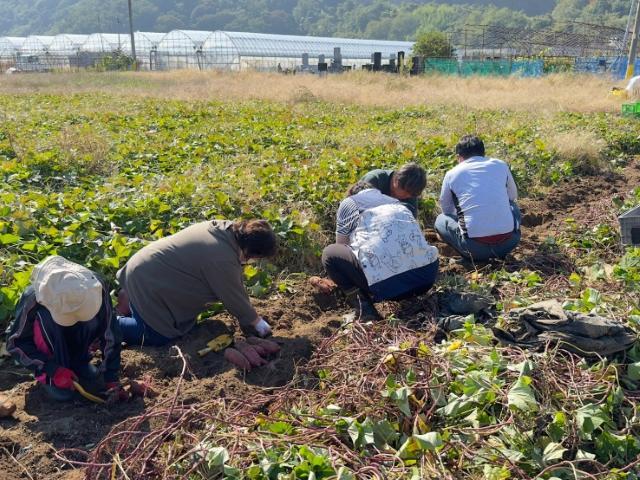 【サービス管理責任者】就労継続支援A型/日祝休み/残業ほぼなし◎/IT事業と農業で地域に貢献！/一人ひとりが誇りをもって働ける環境を目指して♪/月給28万円～/正社員/資格必須の写真9枚目