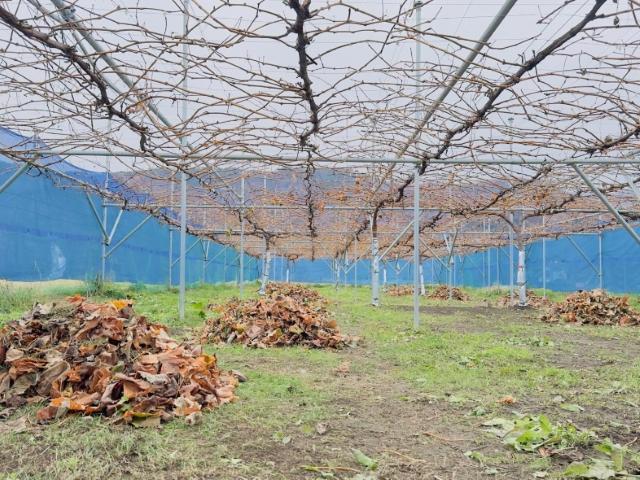 【サービス管理責任者】就労継続支援A型/日祝休み/駅チカ◎/IT事業と農業で地域に貢献！/一人ひとりが誇りをもって働ける環境を目指して♪/月給28万円～/正社員/資格必須の写真2枚目