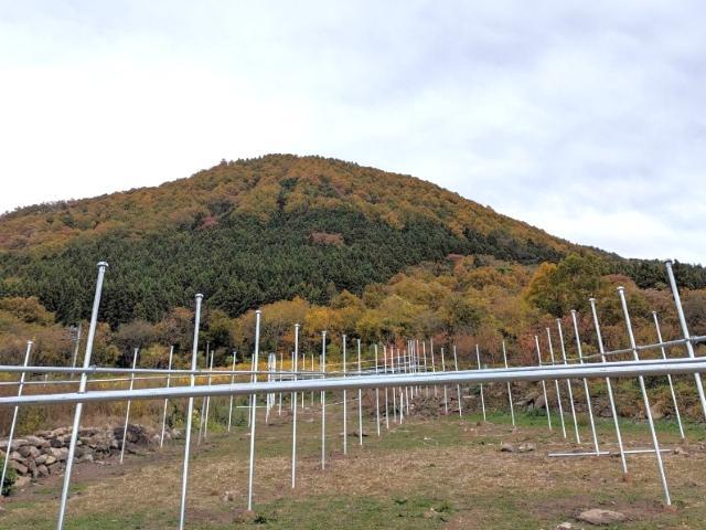 【サービス管理責任者】就労継続支援A型/日祝休み/駅チカ◎/IT事業と農業で地域に貢献！/一人ひとりが誇りをもって働ける環境を目指して♪/月給28万円～/正社員/資格必須の写真3枚目