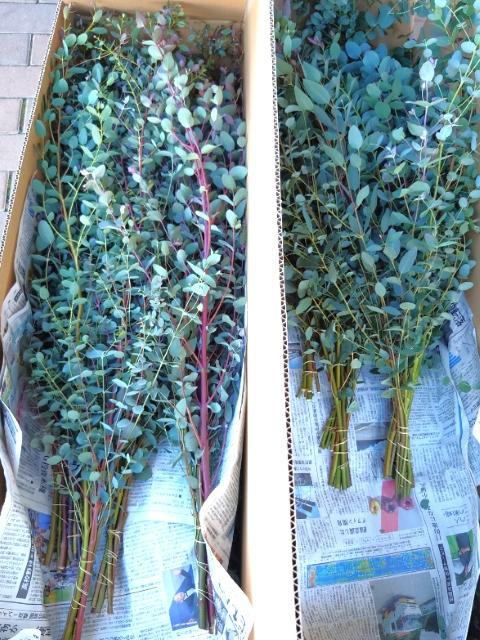 【サービス管理責任者】就労継続支援A型/日祝休み/駅チカ◎/IT事業と農業で地域に貢献！/一人ひとりが誇りをもって働ける環境を目指して♪/月給28万円～/正社員/資格必須の写真10枚目