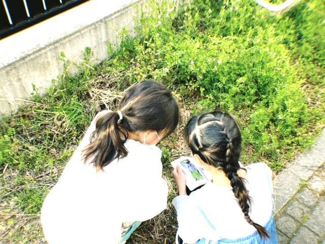 【児童発達支援管理責任者】多機能型施設/正社員/資格必須/月給25万円～/土日休み/残業ほぼなし/静岡市内を中心に療育・グループホーム・介護支援事業を多数展開する運営法人◎の写真1枚目