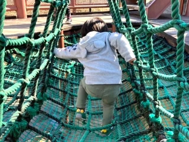 【保育士】多機能型施設/完全週休2日制＆残業ほぼなし◎/約50か所の仲間と共に成長できるFCグループ/「遊び」を通じてその子らしい成長を支援♪/月給22万円～/正社員/資格必須の写真8枚目