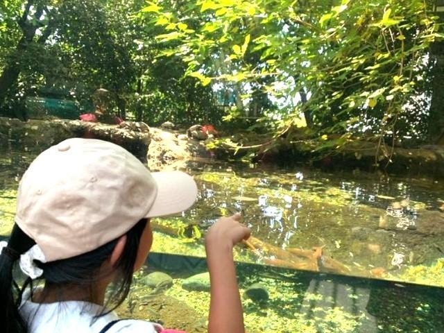 【臨床心理士/公認心理師】多機能型施設/完全週休2日制＆休暇制度充実◎/50か所の仲間と成長できるFCグループ/遊びを通じてその子らしい成長を支援/月給27万円～/正社員/資格必須の写真8枚目