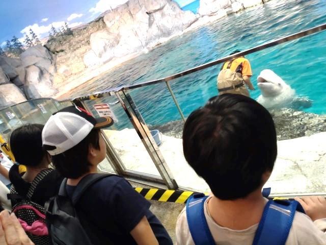 【児童指導員】多機能型施設/週2日3時間以上でOK◎/日曜定休/未経験可/子どもたちとワクワクしながら新しい発見を楽しむお仕事！/時給1,140円～/パート・アルバイト/資格必須の写真1枚目