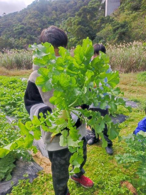【保育士】多機能型施設/年間休日117日/日祝休み/育休取得実績あり◎/託児施設あり/こども時間を大切に、自主性や生きる力をはぐくむ支援♪/月給18万円～/正社員/資格必須の写真6枚目