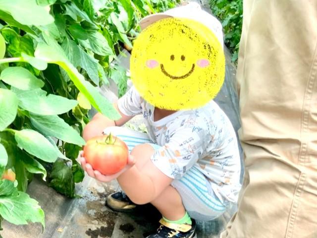 【児童指導員】放課後等デイサービス/日曜休み・年間休日120日＆残業ほぼなし◎/「楽しい活動×古民家を改装したアットホームさ」が特徴♪/月給24万円～/正社員/資格必須の写真6枚目