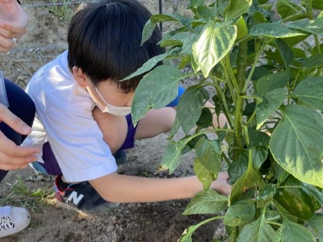 【言語聴覚士】多機能型施設/完全週休2日制/日曜休み◎/むじゃきな笑顔とピュアなよろこびをはぐくむ療育♪/不安を減らし素直な成長をサポート！/月給20万円～/正社員/資格必須の写真1枚目