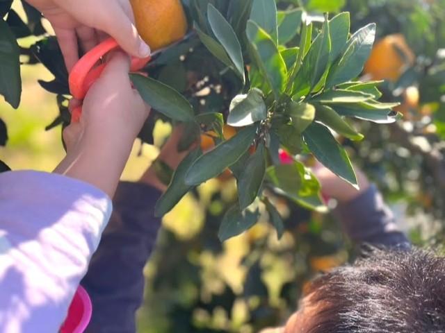 【保育士】放課後等デイサービス/県内約70教室の運営実績あり◎/月給27.5万円～/年300回以上の研修で目指すキャリアを実現＆十人十色を引き出す好待遇あり♪/正社員/資格必須の写真9枚目