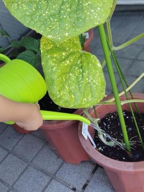 【作業療法士】多機能型施設/年休120日/完全週休2日制◎/子どもたちを理解し受け止める支援♪/安心安全な環境で、のびのびとした成長をサポート/月給21.5万円～/正社員/資格必須の写真6枚目