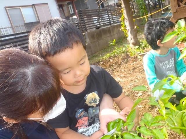 【保育士】多機能型施設/パート・アルバイト/資格必須/時給1,150円〜/週2～3日勤務OK◎/残業ほぼなし/発達段階に合わせ、身辺自立に向けた個別支援を実施♪の写真5枚目