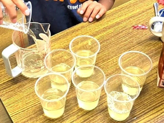 【保育士】放課後等デイサービス/正社員/資格必須/月給24.5万円～/土日祝休み！完全週休2日制/富山県内で多数の学童保育を展開する運営法人◎の写真1枚目