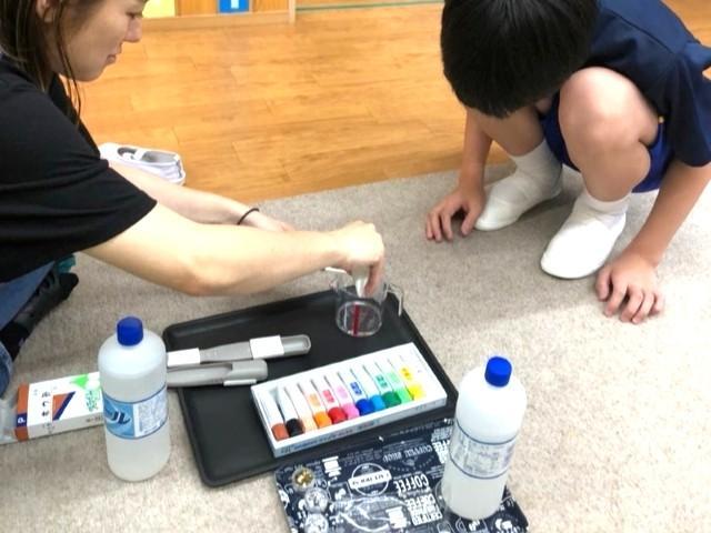 【保育士】放課後等デイサービス/正社員/資格必須/月給21.4万円～/年間休日111日/土日休み/残業ほぼなし/未経験可/中高生を中心に就労に向けた支援◎