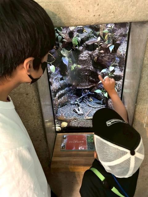 【児童発達支援管理責任者】放課後等デイサービス/年休140日◎/成長に合わせた学習支援に特化/元教員が考えるカリキュラムで効率的なサポートを実現♪/月給22万円～/正社員/資格必須の写真5枚目