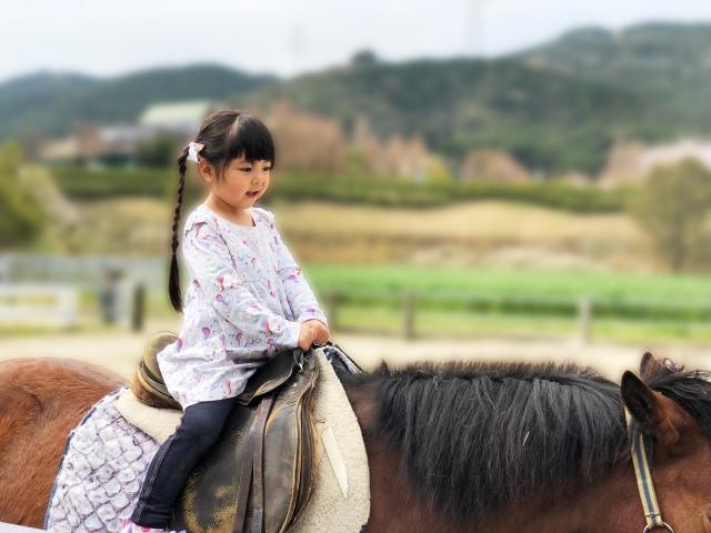 【児童指導員】多機能型施設/完全週休2日制/日曜休み◎/育休取得実績あり/子どもたちのより良い未来をつくる♪/豊かな個性を尊重しながら成長を支援/月給22.5万円～/正社員/資格必須の写真6枚目