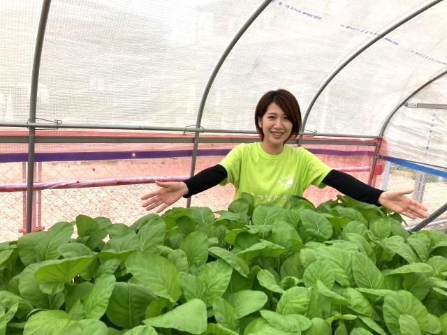 【サービス管理責任者】就労継続支援B型/土日祝休み＆残業ほぼなし◎/県内で10か所以上展開中！/農作業を通じて、ご利用者の自立と成長をサポート/月給28.5万円～/正社員/資格必須