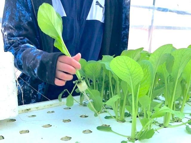 【サービス管理責任者】就労継続支援B型/土日祝休み＆残業ほぼなし◎/県内で10か所以上展開中！/農作業を通じて、ご利用者の自立と成長をサポート/月給28.5万円～/正社員/資格必須の写真1枚目