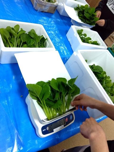 【サービス管理責任者】就労継続支援B型/土日祝休み＆残業ほぼなし◎/県内で10か所以上展開中！/農作業を通じて、ご利用者の自立と成長をサポート/月給28.5万円～/正社員/資格必須の写真2枚目