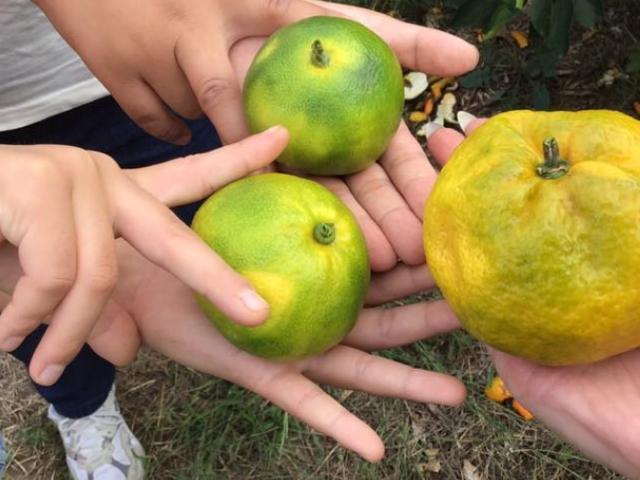 【作業療法士】放課後等デイサービス/週休2日制/未経験可◎/将来的な自立を目標とした療育支援♪/子どもたちの個性と可能性を広げるお手伝い/月給23.5万円～/正社員/資格必須の写真6枚目