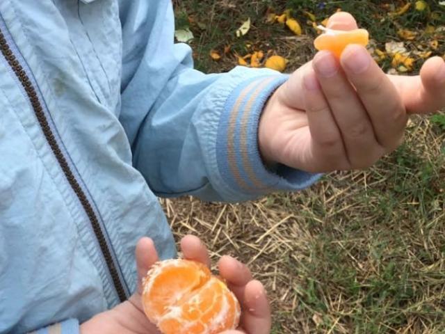 【言語聴覚士】放課後等デイサービス/週休2日制/未経験可◎/将来的な自立を目標とした療育支援♪/子どもたちの個性と可能性を広げるお手伝い/月給27.5万円～/正社員/資格必須