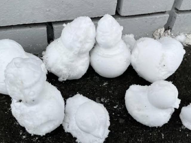 【保育士】多機能型施設/日祝休み◎/残業ほぼなし/個性を大切に、スモールステップで成長をサポート/自立心をはぐくむ穏やかな居場所づくり♪/月給20.5万円～/契約社員/資格必須の写真2枚目