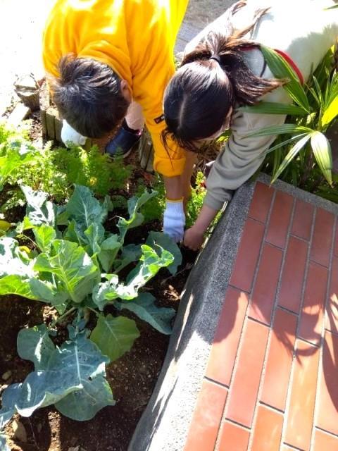 【サービス管理責任者兼管理者】共同生活援助/残業ほぼなし◎/県内で10か所以上展開中！/多彩な活動を通じて、ご利用者の自立と成長をサポート♪/月給30.8万円～/正社員/資格必須の写真10枚目