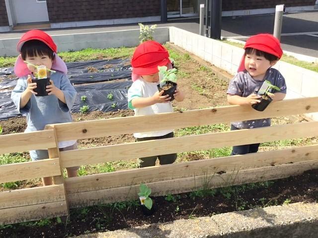 【心理学科卒の方歓迎！】放課後等デイサービス/日曜休み＆月9日休み/充実の研修・キャリア支援＆休暇制度◎/スタッフも幸せになれる施設♪/月給20万円～/正社員/資格必須の写真7枚目