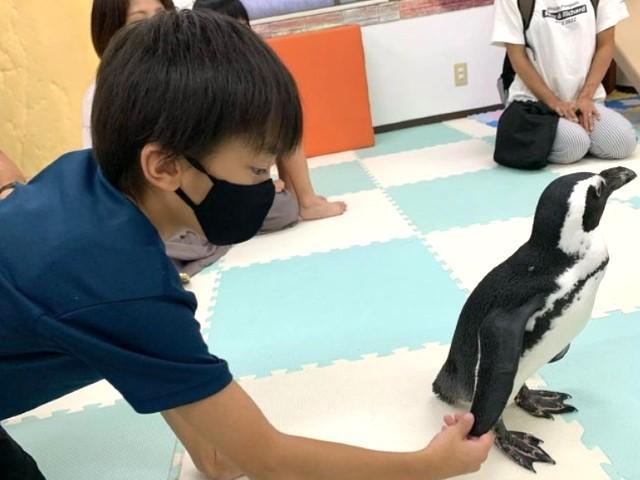 【心理学科卒歓迎！】多機能型施設/完全週休2日制＆休暇制度充実◎/約50か所の仲間と成長できるFCグループ/遊びを通じて、その子らしい成長を支援♪/月給27万円～/正社員/資格必須の写真5枚目