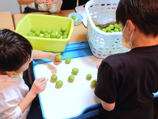 【心理学科卒業の方歓迎！】多機能型施設/正社員/資格必須/月給20万円～/充実の待遇＆研修でやりがいアップ◎/ABAを柱とした専門的な支援で、それぞれの「ちがい」を才能に♪の写真4枚目